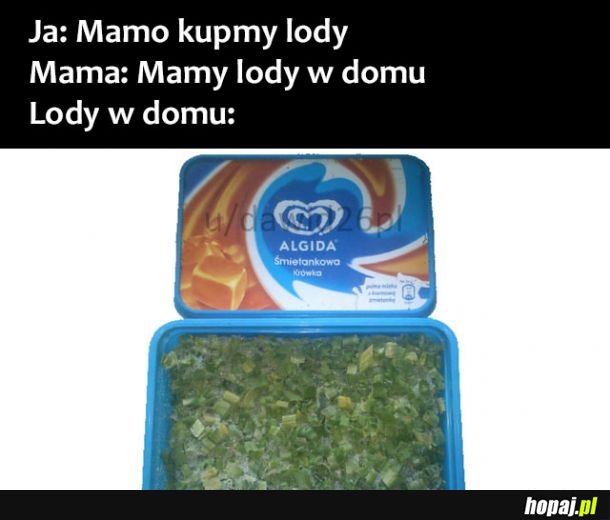 Lody w domu 