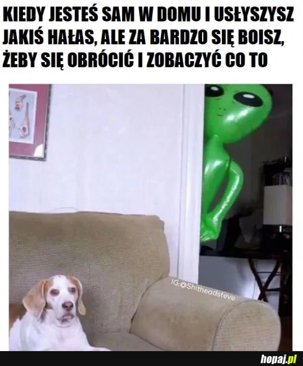 Może sobie pójdzie 