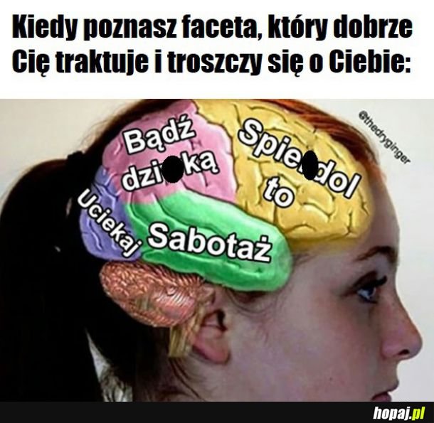 Tak to wygląda