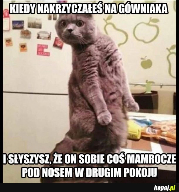 A to smarkacz!