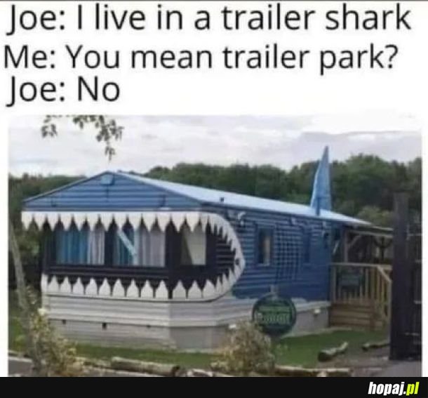 Trailer shark