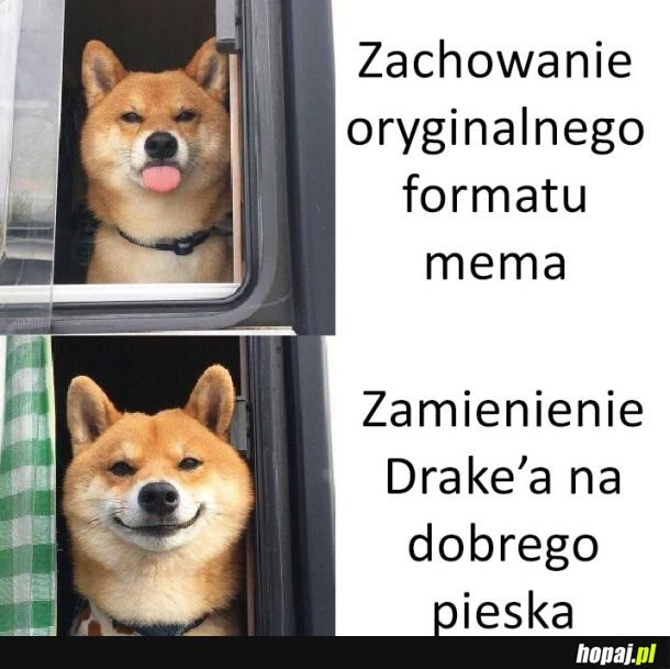 Pieseł zawsze lepszy