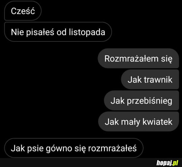 Odwilż