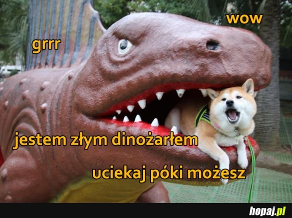 Dinożarłę