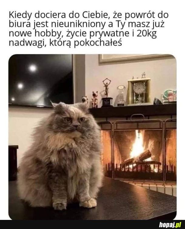 Teraz to już nie chcę