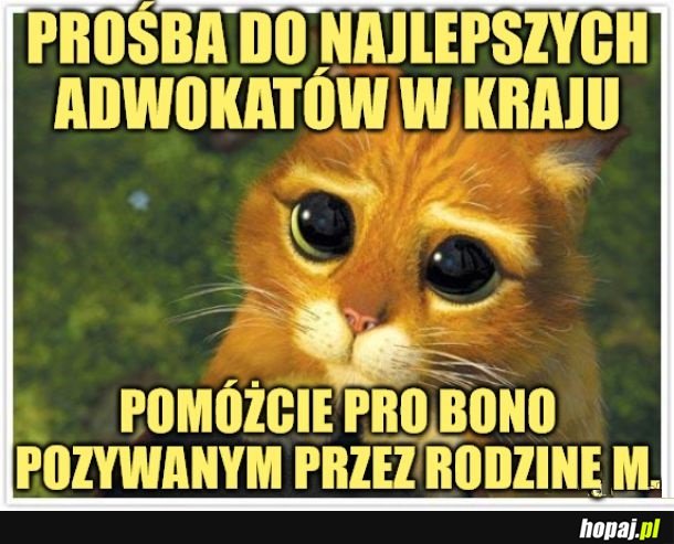 Prośba.