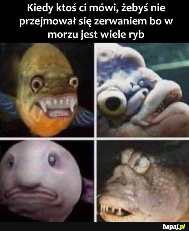 Same piękności 