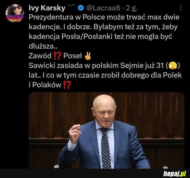 Zawód: poseł