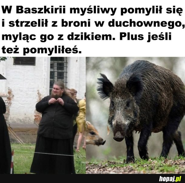  Pomyłka 