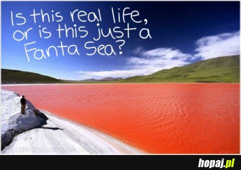 Is this real life or is this just a Fanta Sea?