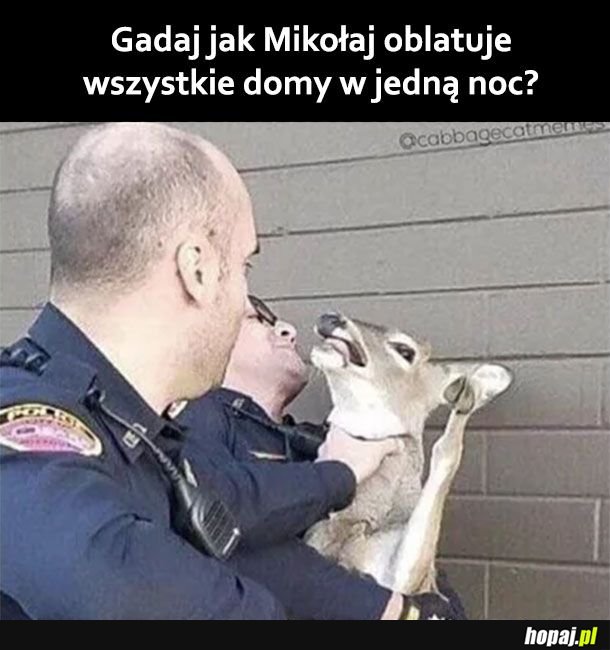 Gadaj szybko 