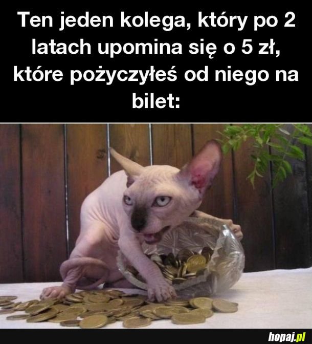 Ten jeden kolega