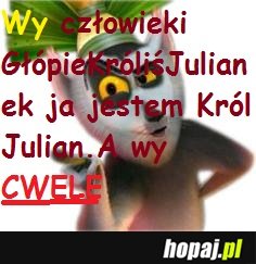 Króliś Julian się wściekł CWELE