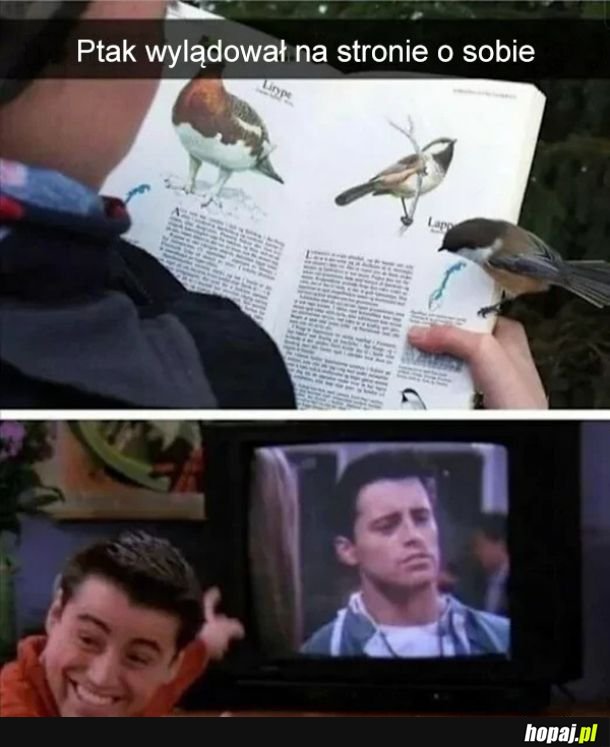To ja!