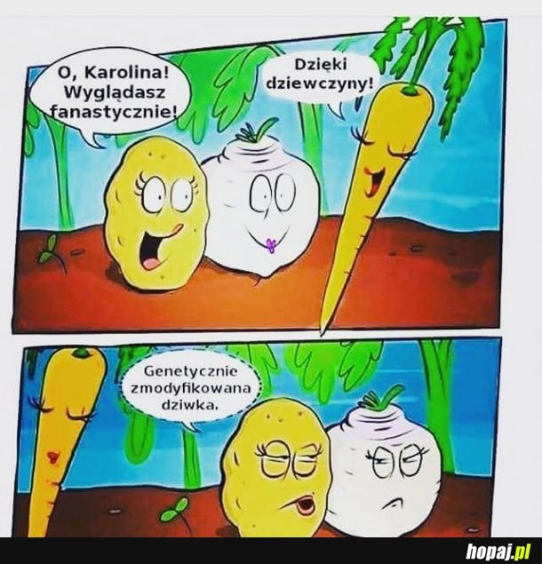 Laski taki są