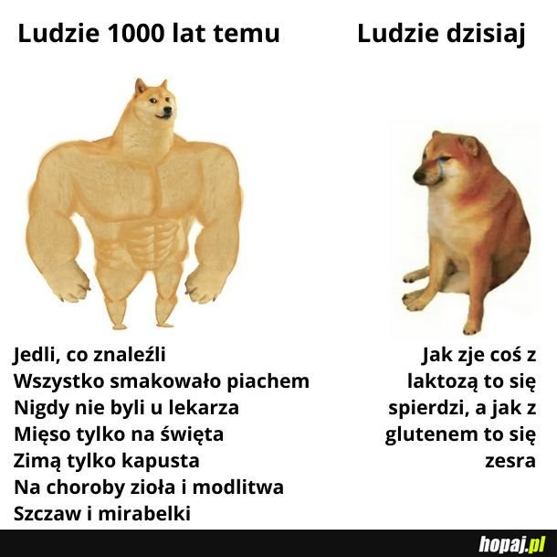 Się pozmieniało