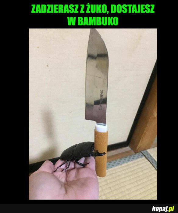 NIE ZADZIERAJ Z ŻUKIEM