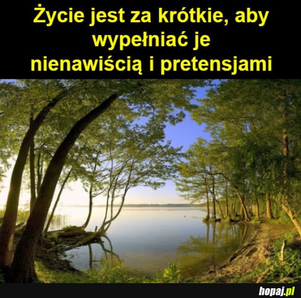 Życie jest zbyt krótkie