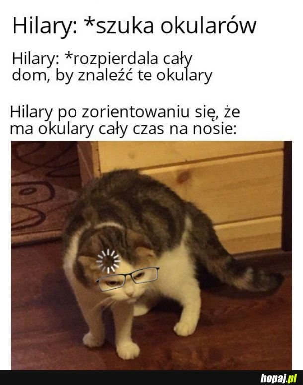 Hilary, co zgubił okulary