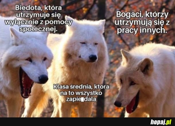 Dobrze jest