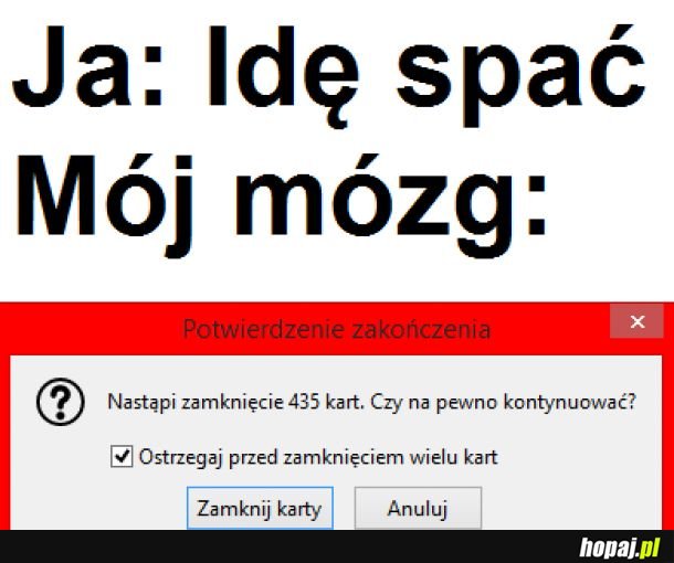 Mój mózg...