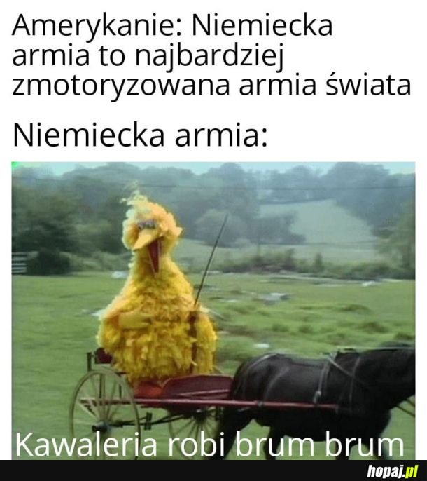 Tak było