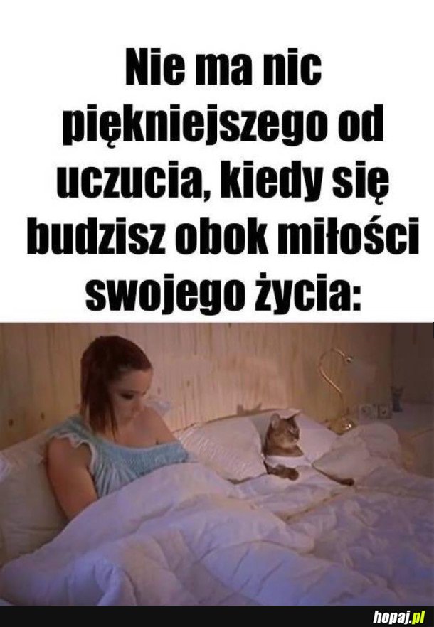 MIŁOŚĆ MOJEGO ŻYCIA