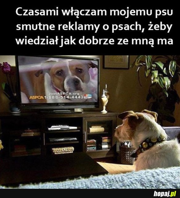 PATRZ I UCZ SIĘ