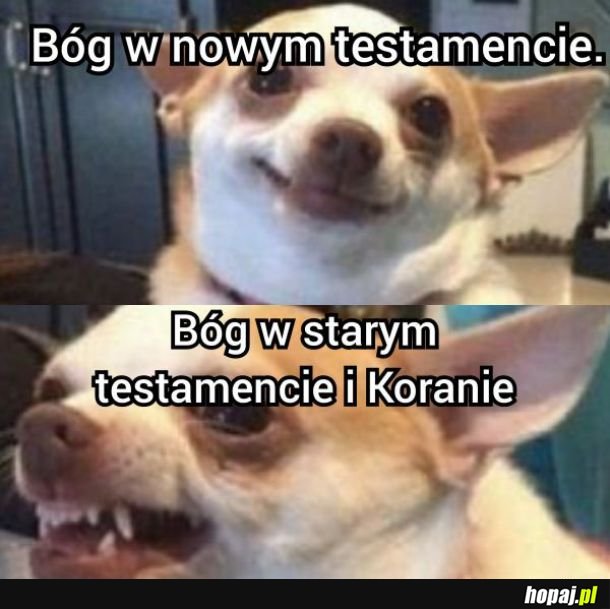 Bóg 