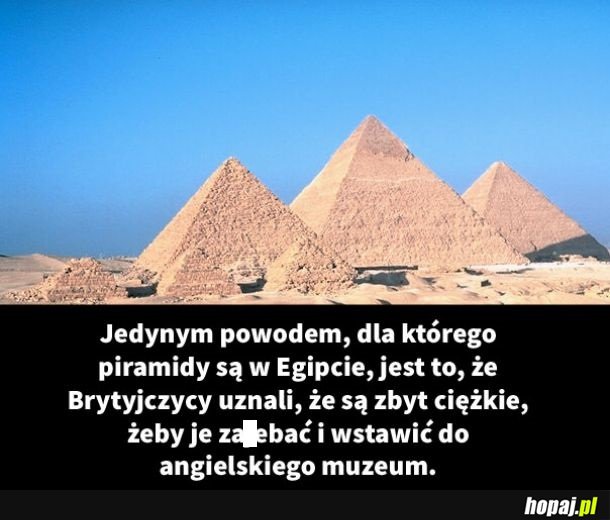 Złodziejska nacja