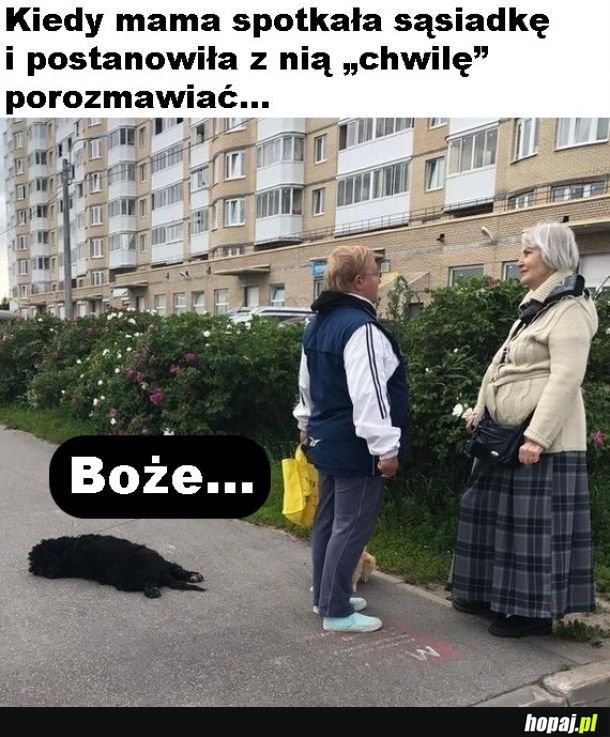 Znudzony pieseł