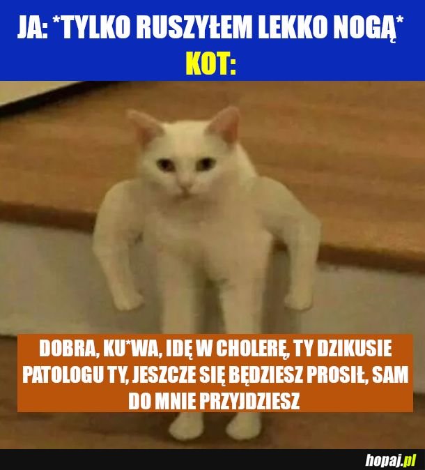 Kitku, przepraszam, ale ja też chce wygodnie