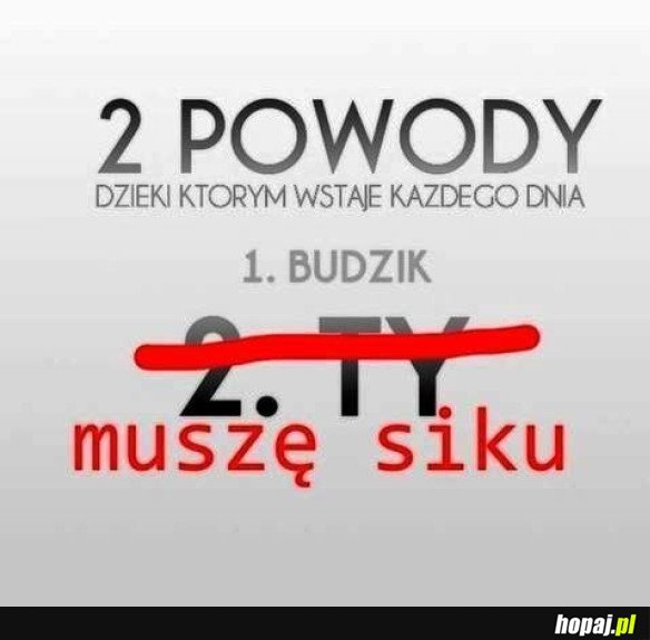 DLACZEGO WSTAJĘ RANO