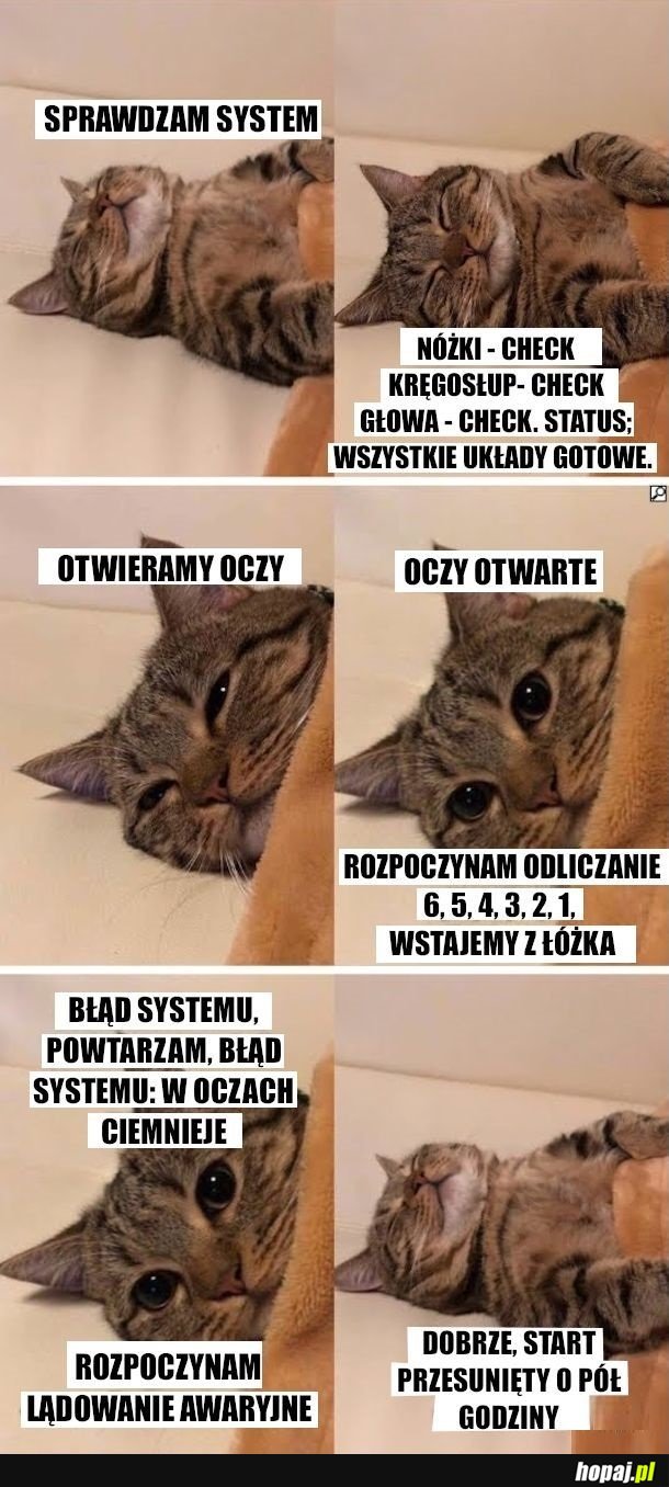 Względy bezpieczeństwa przytulności mi milutkości