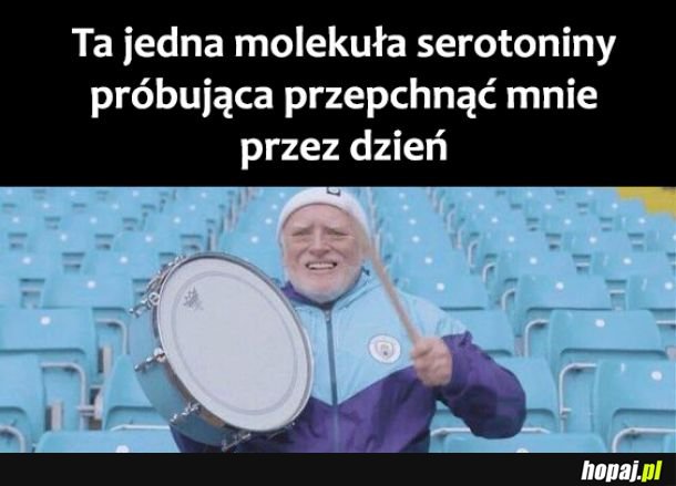 Damy radę 