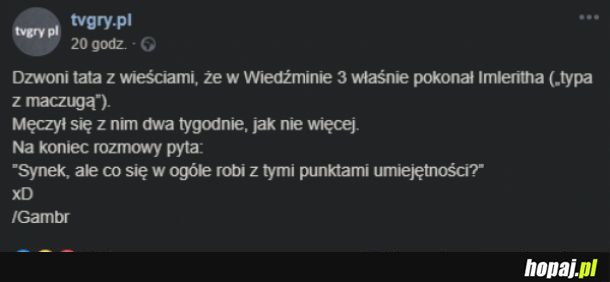  Wiedźmin