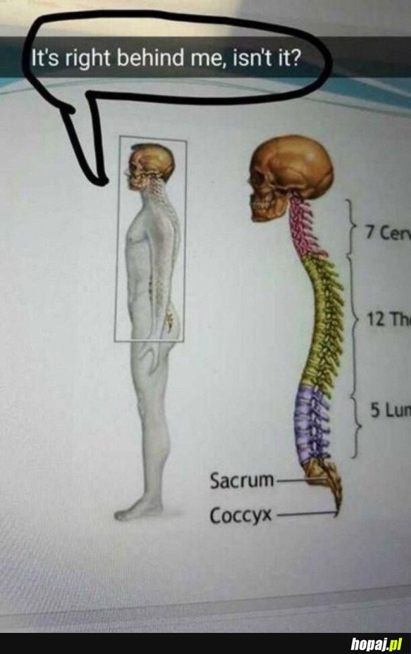 STOI ZA MNĄ, PRAWDA?