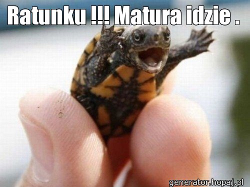 Ratunku !!! Matura idzie .