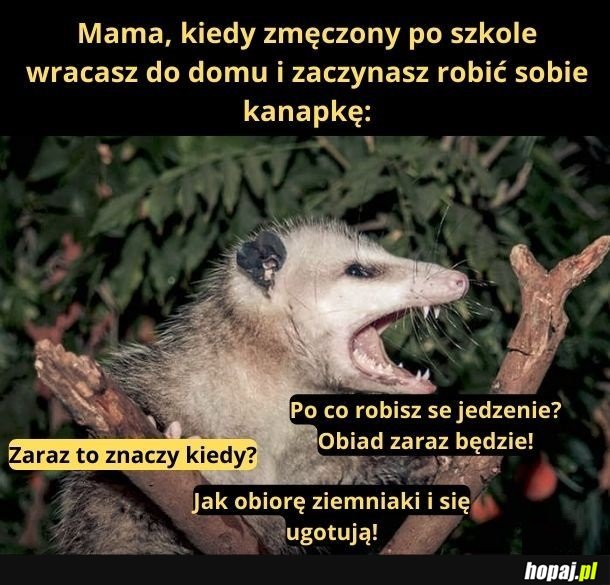 Zaraz za godzinę