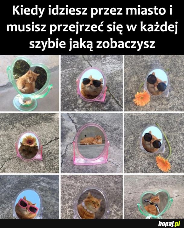 Jestem bajeczny