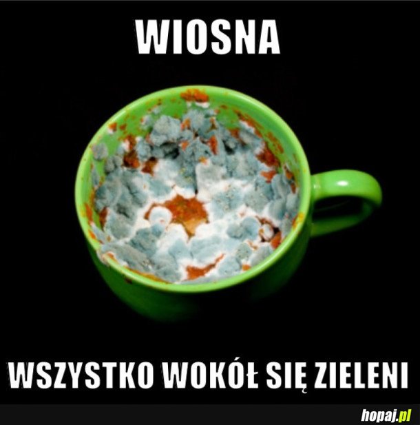 WIOSENNA ZIELEŃ