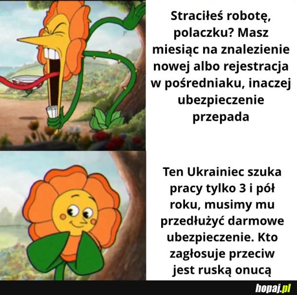Państwo z gówna i dykty