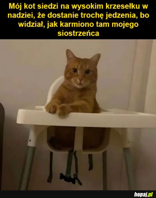 Karm i mnie