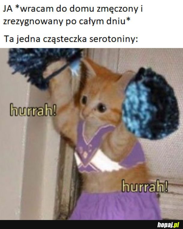 Serotoninka