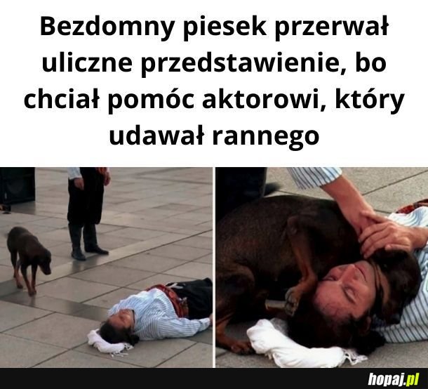 Tylko nie płacz; tylko nie płacz; tylko nie płacz..