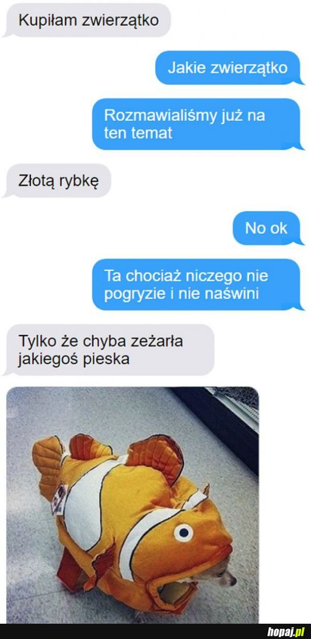  Zwierzątko 