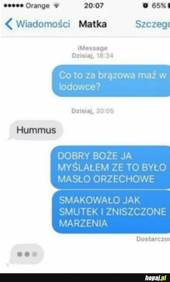 BRĄZOWA MAŹ W LODÓWCE