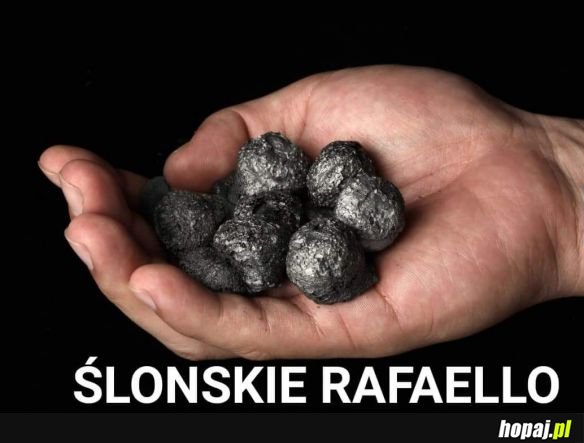 Ślonskie szpecjały