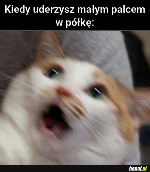 KIEDY UDERZYSZ MAŁYM PALCEM W PÓŁKĘ