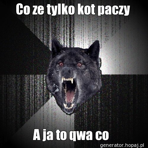 Co ze tylko kot paczy